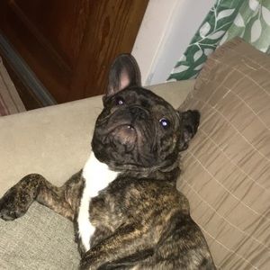 Meet your Posher, Chelsi